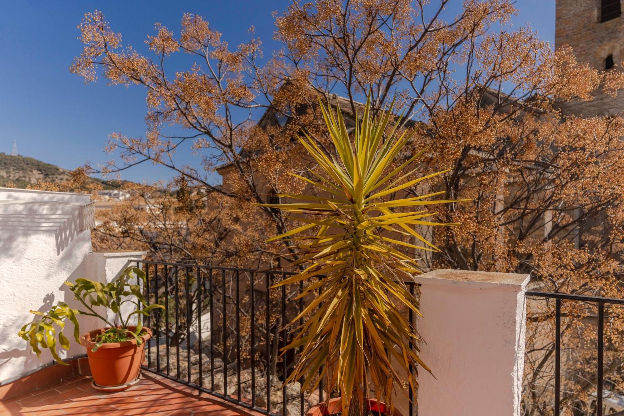 Vila La Casita De La Plaza Granada Exteriér fotografie